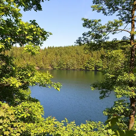 Villa La Bordure De La Foret *