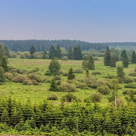 La Bordure De La Foret Villa *